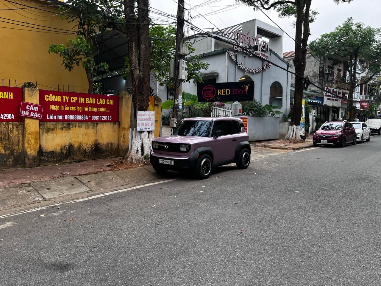 VinFast is overwhelmingly the most popular brand of electric cars in Vietnam