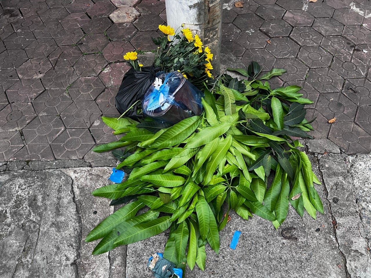 neat pile of green leaves swept on a Lao Cai sidewalk instead of trash