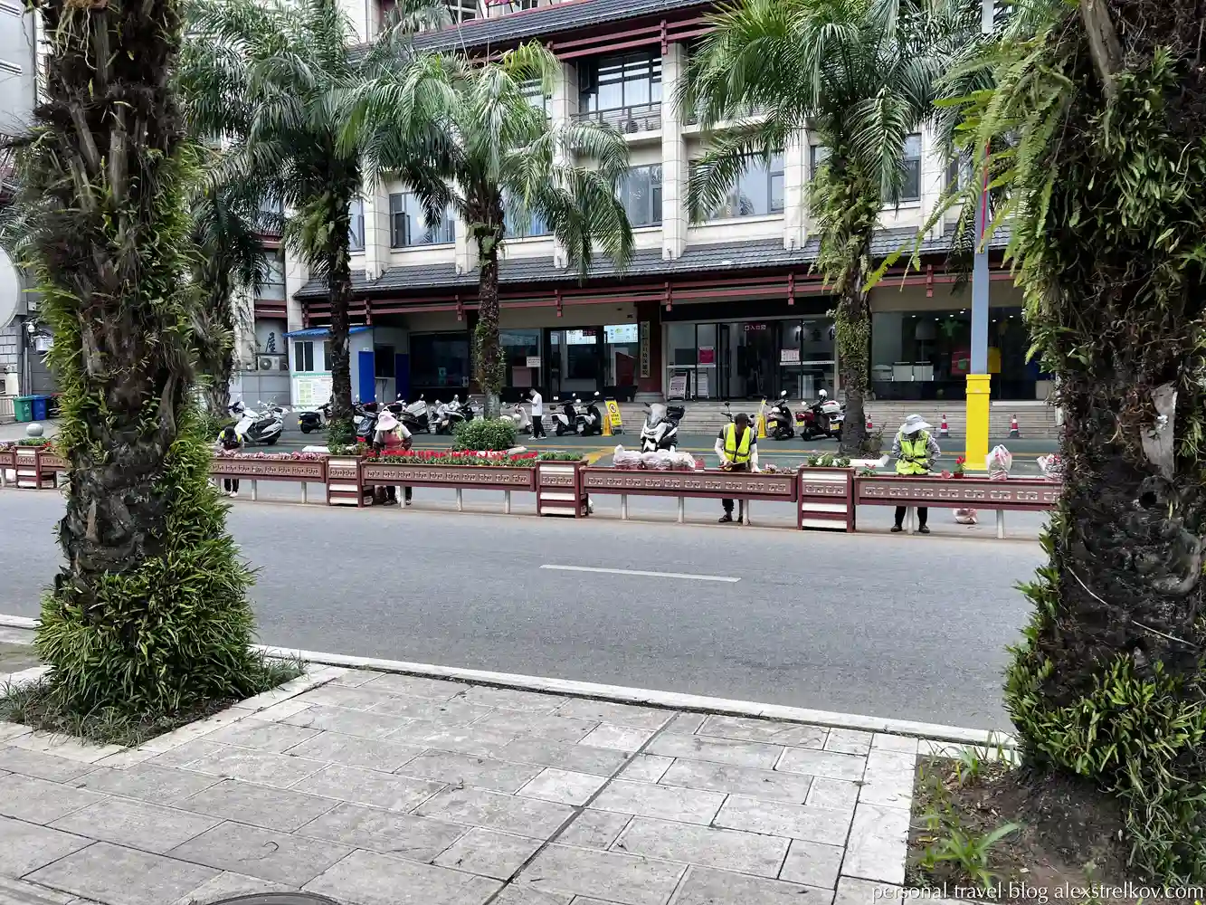 workers planting flowers on street in Hekou China